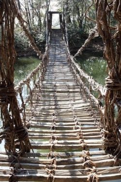 photocredit/thanks:shutterstock