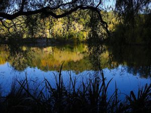 photocredit/thanks:pinterest