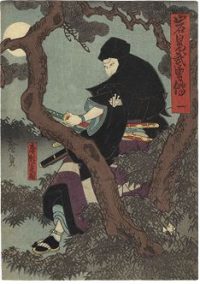 photocredit/thanks:nvsi Featured Topic Image