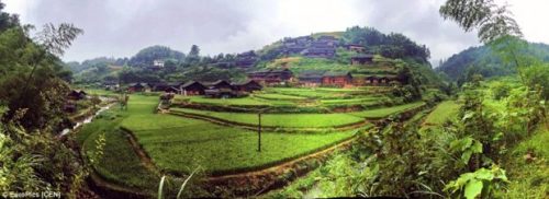 photocredit/thanks:cen