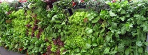 photocredit/thanks:pixabay Featured Image.