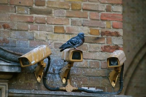 A Pigeon Sits Atop One Of A Row Of Cameras On A Building Wall.