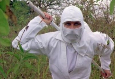 photocredit/thanks:youtube