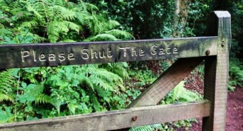 photocredit/thanks:pixabay