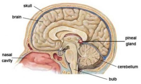 Featured Topic Image