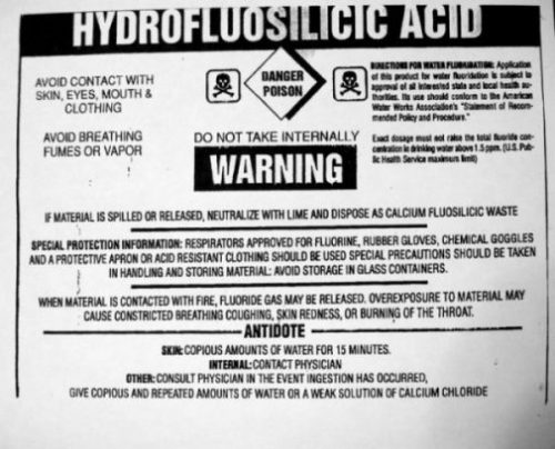 photocredit/thanks:ratpoisonikaiha