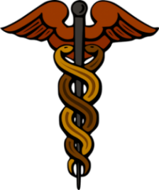 photocredit/thanks:wikimedia