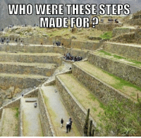 photocredit/thanks:meme