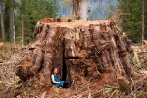 photocredit/thanks:wykoppl Quiz Topic Image