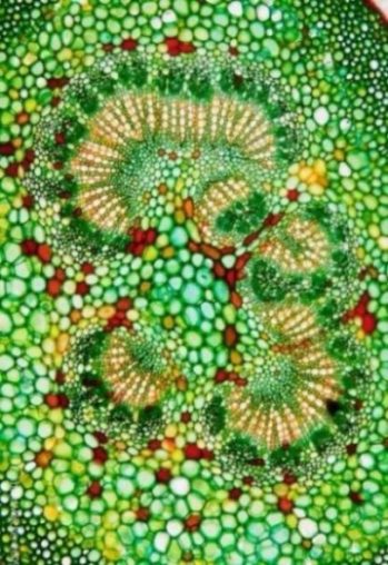 Featured Topic Image