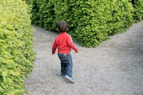 Featured Image Of A Young Boy About To Enter A Maze.