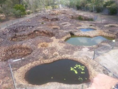 photocredit/thanks:axterdamaccesspakhazara Featured Topic Image