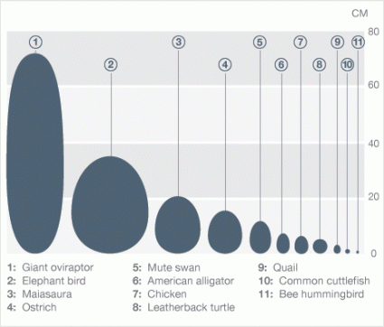 photocredit/thanks:hasshe Featured Topic Image