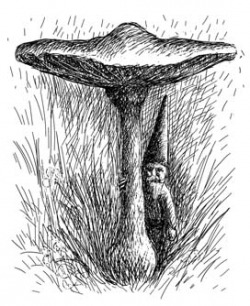 Featured Topic Image