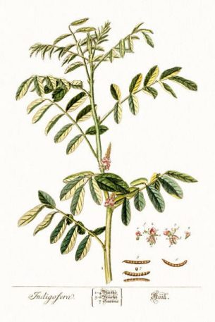 Featured Topic Image