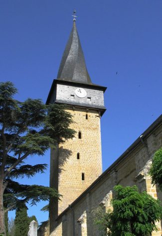 Featured Topic Image