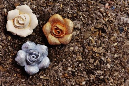 Featured Image Of 3 Different Colored Rosebuds On Soily/Rocky Ground.