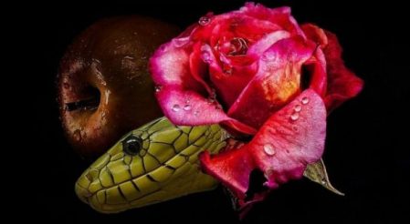 Featured Topic Image