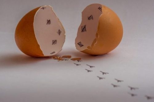 photocredit/thanks:Joern Moock:pixabay Featured Topic Image One Egg Split In Two Halves Displaying Marks Of Days Counted Of In Groups Of Five Lies Near A Row Of Chick Footprints Leading Away.