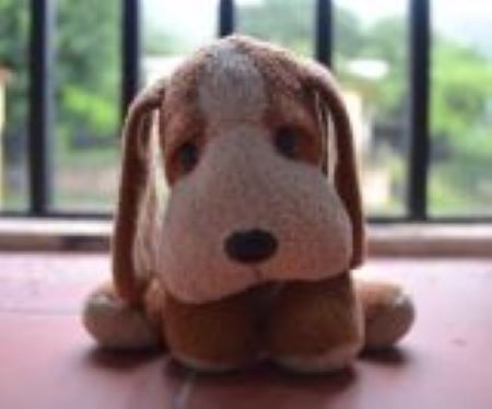Featured Topic A Brown And White Toy Dog Sits On A Window Ledge During Daylight Times.