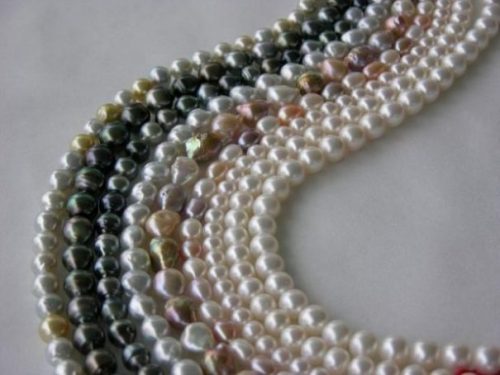 Several Different Colored Pearl Necklaces Lying Curved On White Background.