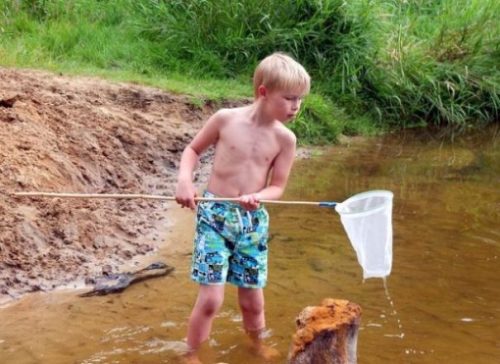 Featured Image Of A Young Boy Creek/River Fishing With A Small Long-Handled Net.