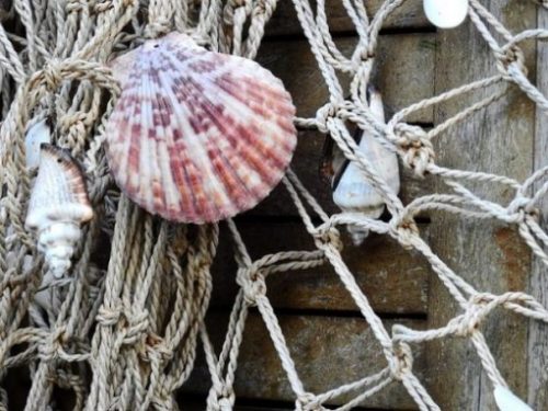 photocredit/thanks:Bruno /Germany:pixabay Featured Image Of Several Seashells Hanging On A Net And Wood Post.