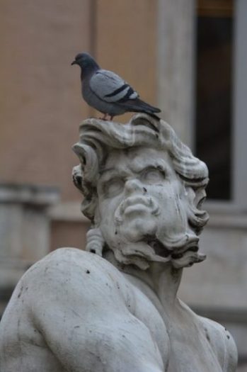 Image Of A Bird Atop An Upward Looking Statue.
