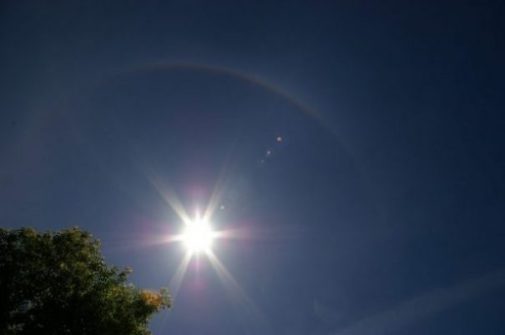 Image Of A Haloed Bright Sun Above/Alongside A Tree.