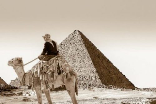 Image Fantasy Themed Of Man Atop Camel Looking At The Great Pyramid.