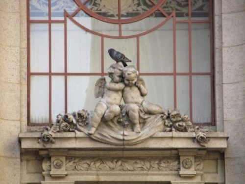 Featured Image Of Two Cherub Angels Statues On A Window Ledge With A Pidgeon On Top Their Heads.