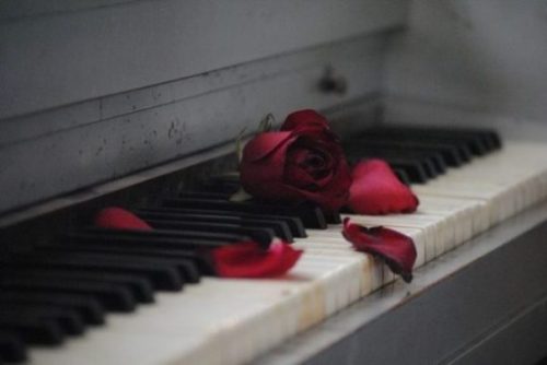 Image Fantasy Themed Piano Keys And Rose Closeup.