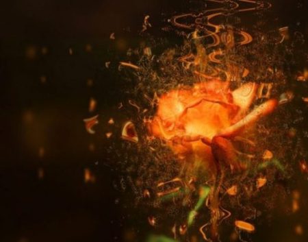 Image Of Fantasy Styled Orange Rose Surrounded By Musical Notes.