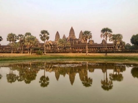 photocredit/thanks:Heidrun Klein:pixabay